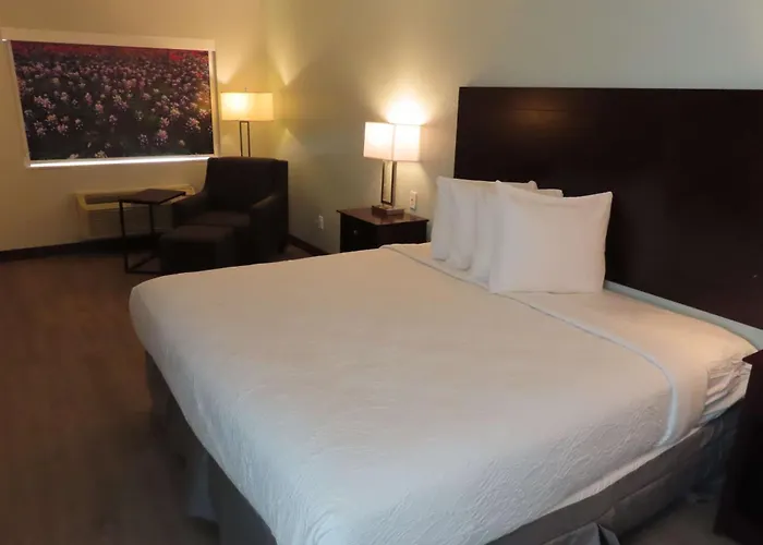 Best Western Childress West Hotel